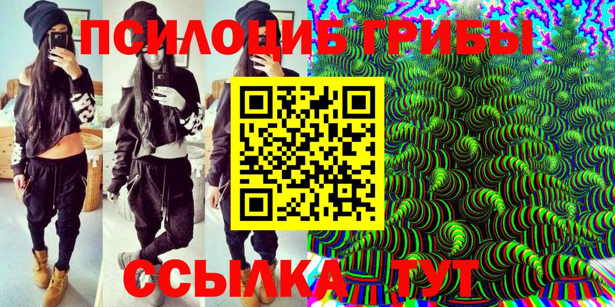 Псилоцибиновые грибы Psilocybine cubensis Ирбит