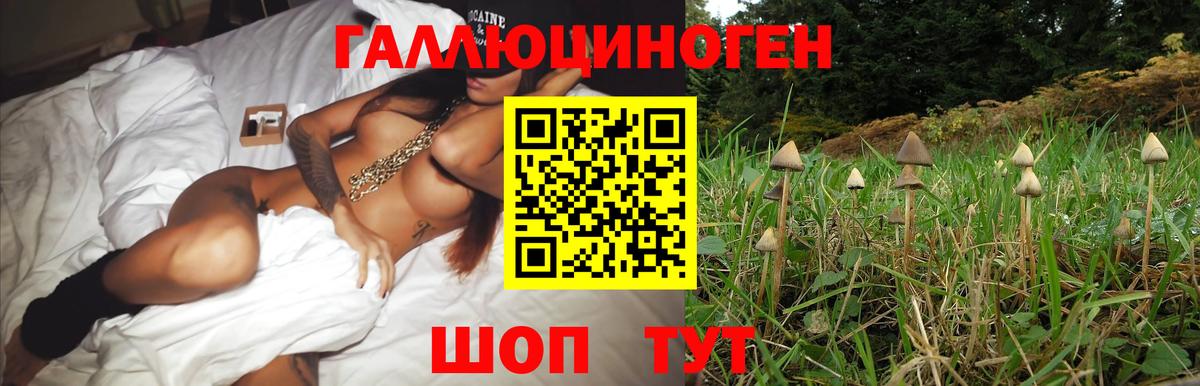 Псилоцибиновые грибы прущие грибы  Псилоцибиновые грибы Psilocybe  Ирбит  Вход с VPN 