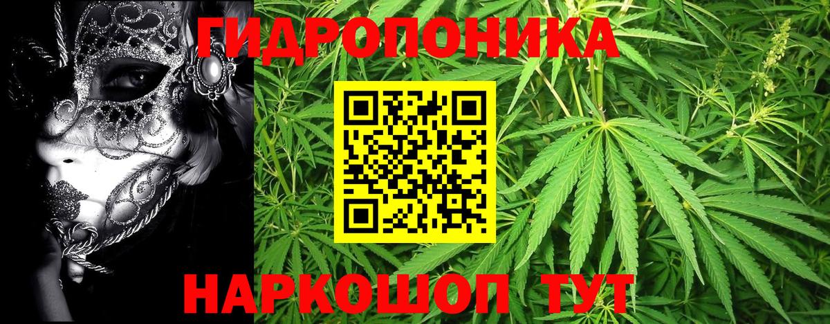 Бошки Шишки семена Ирбит
